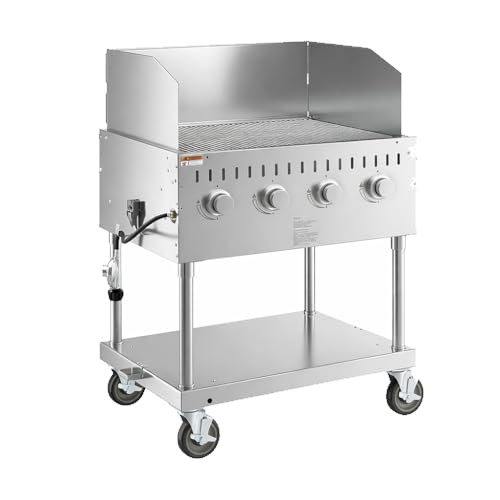 Commercial Stainless Steel Outdoor Liquid Propane Grill with Wind Guard